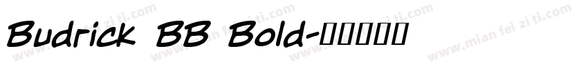 Budrick BB Bold字体转换